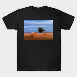 Autumnal Harvest T-Shirt